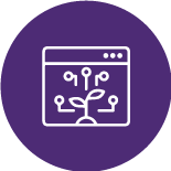 ERP Consultants