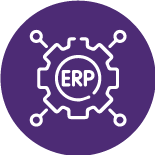 ERP Consultants