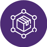 ERP Consultants