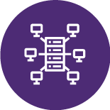 Solution Architects