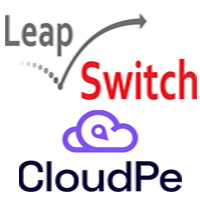 Leapswitch Networks Pvt Ltd.